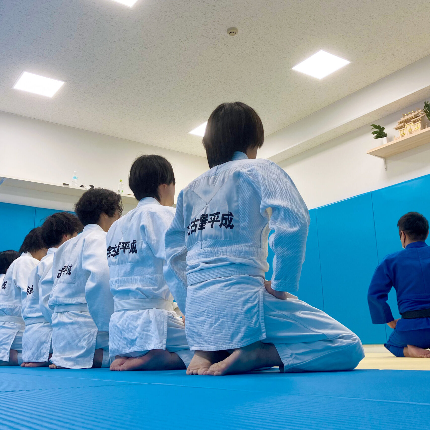 柔道整復師は柔道経験が必要？経験の必要性や柔道との関連性について